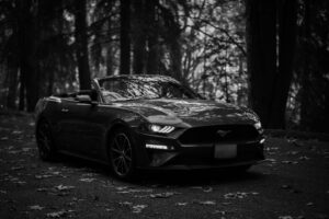 A sports car in the woods that is glistening and has recently been detailed.